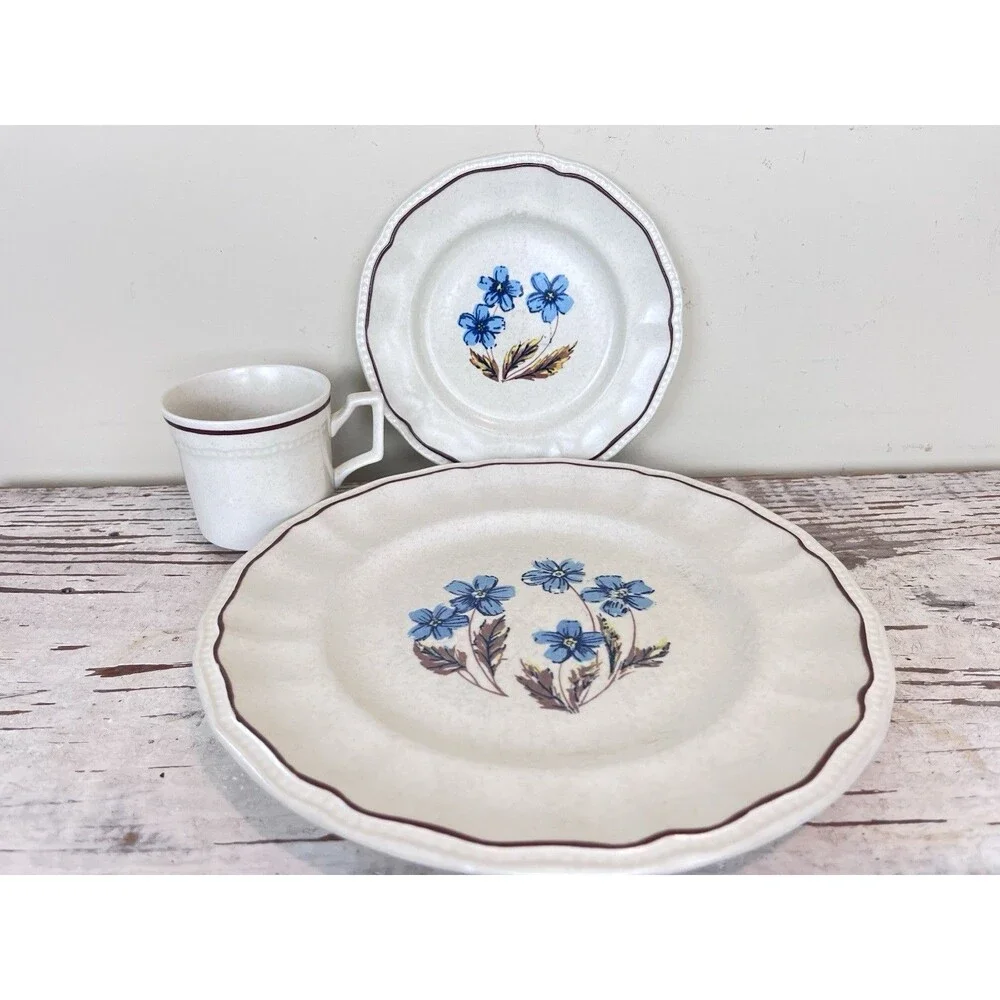 Vintage Kensington Staffordshire Ironstone Dinnerware Set Hyde Park